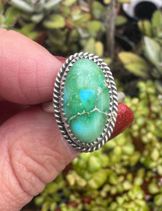 Sonoran Gold Turquoise ring Size 8.5